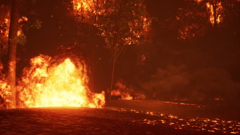 intense flames from a massive forest fire