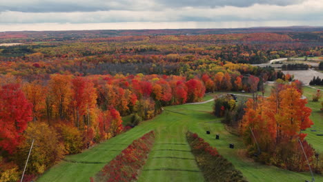 Beautiful-aerial-view-of-forest-in-autumn