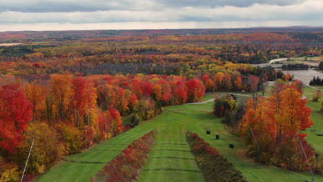 beautiful aerial view of forest in autumn