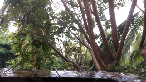 rain drops are falling on the edge of a balcony with the tropical trees behind