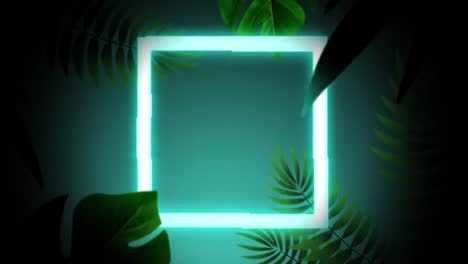 animation of blue neon square with exotic plants around