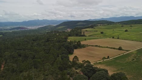 Land-or-landscape-of-green-field-in-aerial-view