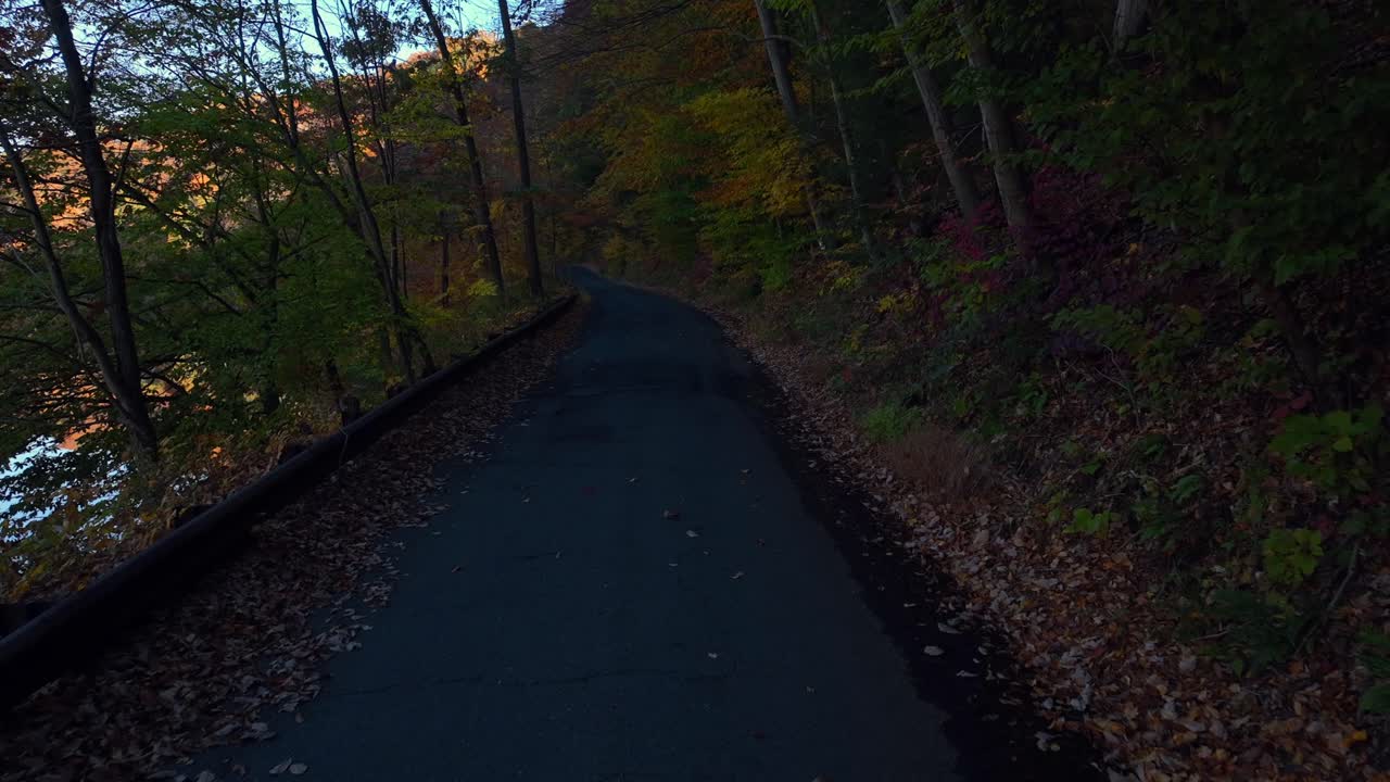 una vista aérea de baja altitud sobre una carretera sombreada por un lago reflectante por la mañana con árboles de otoño coloridos