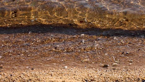 waves gently lapping on sandy brighton beach