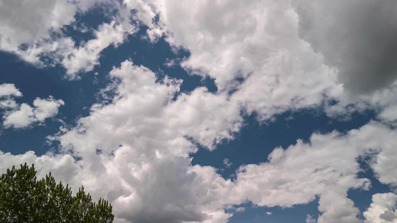 Dramatic white cumulus clouds moving fast across a deep blue sky above green treetops. Timelapse