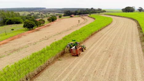 sugar cane - mechanical harvesting of sugarcane in a cloudy day in brazil