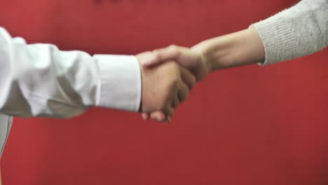Man and woman hearty, cordial handshake, partnership, greeting, cooperation
