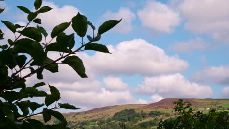 Fast Moving Clouds over Apple Trees with Red Apples. Time Lapse. Formation of white clouds. Swirling clouds in the blue sky. Atmospheric phenomenon of nature.