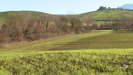 Beautiful-rolling-green-fields-and-hills-suggest-agriculture-in-Tuscany-Italy-1