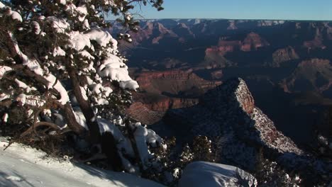 wide background of grand canyon national park with winter snow covered trees and rocks in foreground
