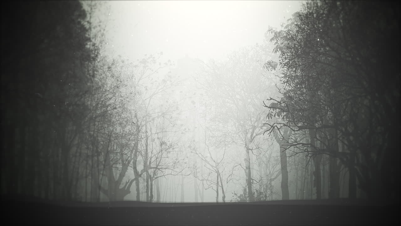 Mystical halloween background with dark forest and fog 2