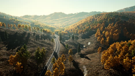 Hermoso-Paisaje-De-Un-Bosque-Verde-Y-Amarillo-Dorado