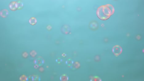beautiful colorful soap bubbles illuminated by pink light fly indoors on a blue background beautiful colorful soap bubbles illuminated by pink light fly indoors on a blue background round bubbles float in the air and sparkle with rainbow patterns colorful festive background for holiday birtay or par