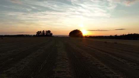 un disparo de drone de un campo cosechado por la noche donde el sol se asoma desde detrás de un árbol, iluminando el suelo con balas de heno