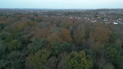 Strafing-slowly-towards-the-left-from-the-right-side-of-the-frame,-showing-the-backwoods-of-a-nearby-community-in-the-outskirts-of-Thetford-in-United-Kingdom