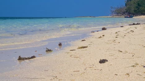 Waves-Gently-Breaking-On-Beach-With-Scattered-Seaweed