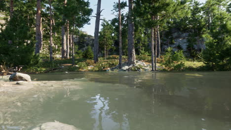serene forest lake