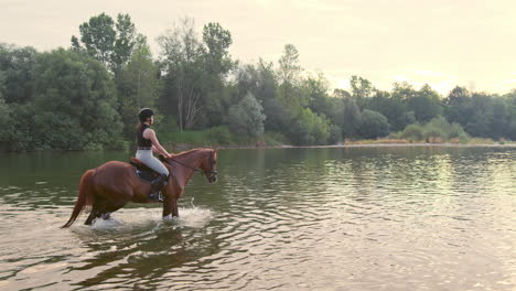 jinete femenina en un caballo montando en el río hacia el sol poniente, tiro lateral