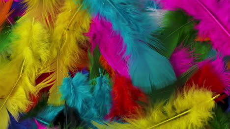 Pile-of-soft,-colorful-feathers-gently-rotating