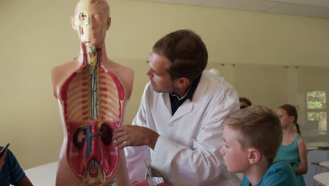 profesor masculino que enseña anatomía humana en la clase