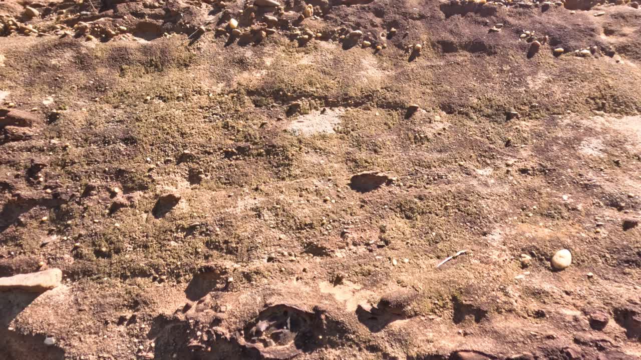 빛에 대한 사막 지형의 점진적인 변화