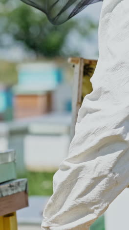 frames of a bee hive. beekeeper harvesting honey. working bees on honey cells. apiary concept. vertical video
