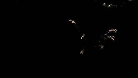 espectáculo de fuegos artificiales por la noche