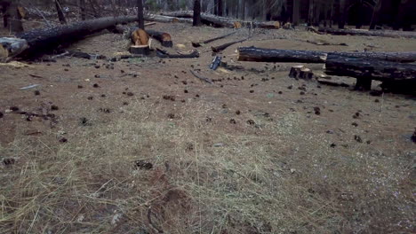 Low-aerial-flying-over-terrain-and-burnt-trees