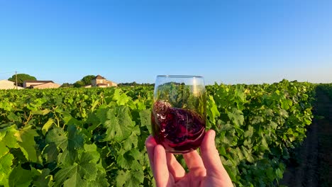 swirling wine glass amidst lush vineyard scenery