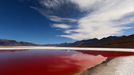pink lake with flamingos and mountains