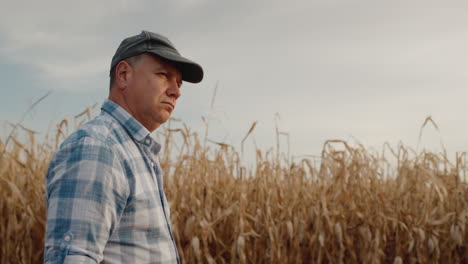 granjero camina por el camino a lo largo de los campos de maíz 2