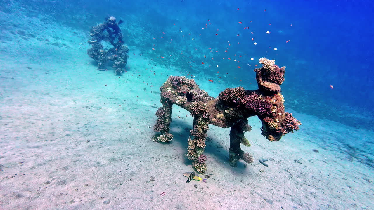 Statue completamente ricoperte di coralli nelle acque dell'oceano vicino a Dahab in Egitto