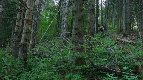 a mountain biker rides down an a steep wooden feature deep in the forest