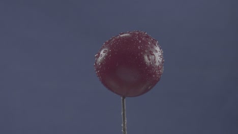 cereza girando con bucle en pantalla azul para la llave de croma