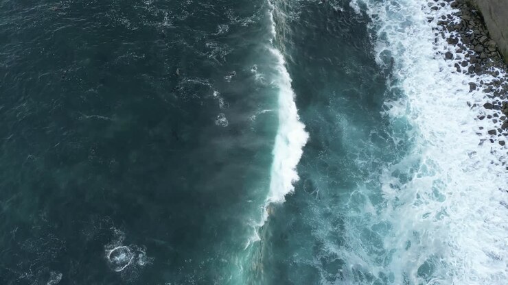 Drone shot straight down with Sea Lions playing in surf as wave rolls by during King Tide in La Jolla California