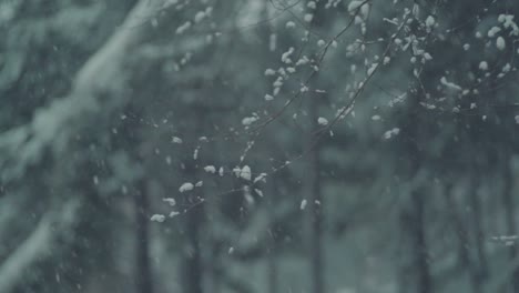 fuertes nevadas cayendo en la calle con árboles durante la temporada de invierno en kyoto, japón