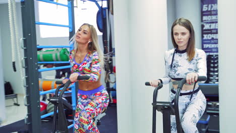 two sexy young women in sport clothes doing working out on exercise bikes at the gym. slim females exercising on bicycle indoors. close-up