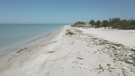 Aerial-video-of-man-walking-on-the-beach-during-a-sunny-day-in-Isla-Aguada,-México