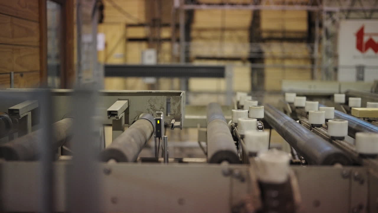 Timber logs stacked in large warehouse interior of industrial wood processing plant as single planks pass over conveyor belt