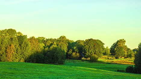 the four seasons pass over a natural landscape with meadows and forests