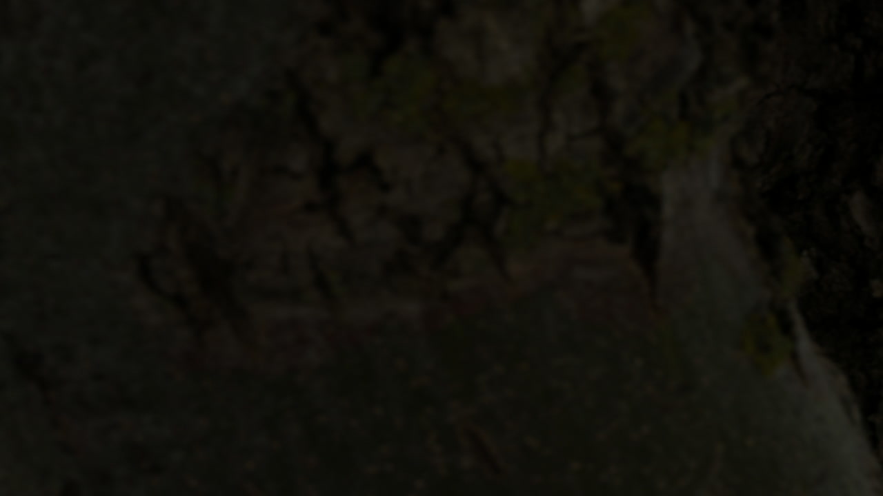 Revealing shot of small fishing boat in the marina