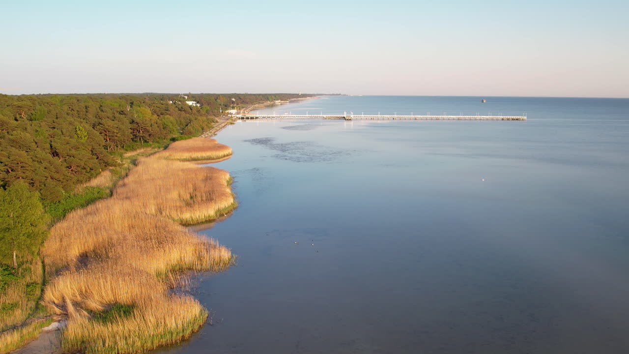 Pristine natural coastline with reeds in Baltic Sea and Jurata pier, aerial