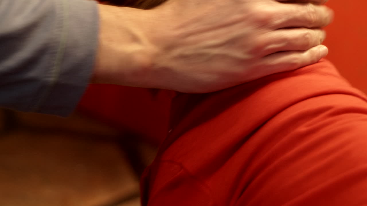 fotografía detallada del aderezo del perro cocker