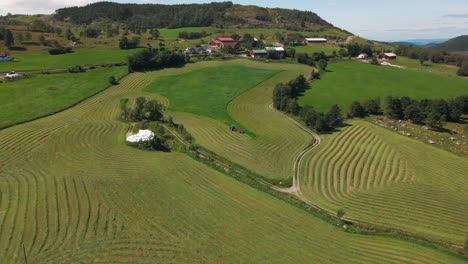 Vista-Aérea-Del-Tractor-Agrícola-Que-Produce-Ensilaje-De-Hierba-Verde-En-El-Campo-Con-Casas-De-Campo-En-Segundo-Plano