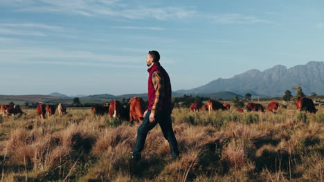 Sustainability,-farm-and-man-with-cattle