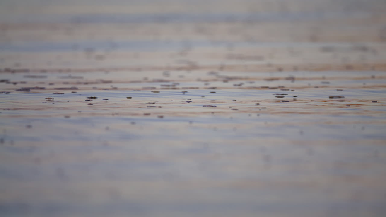 Slo-mo close-up of wavy water surface at dusk, shallow depth of field