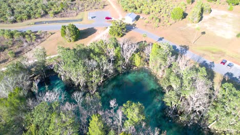 Aerial-flyover-view-of-clear-natural-spring-water-with-manatee-herd