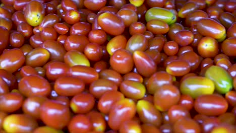tomates de pera a la venta en la feria libre, plano panorámico.