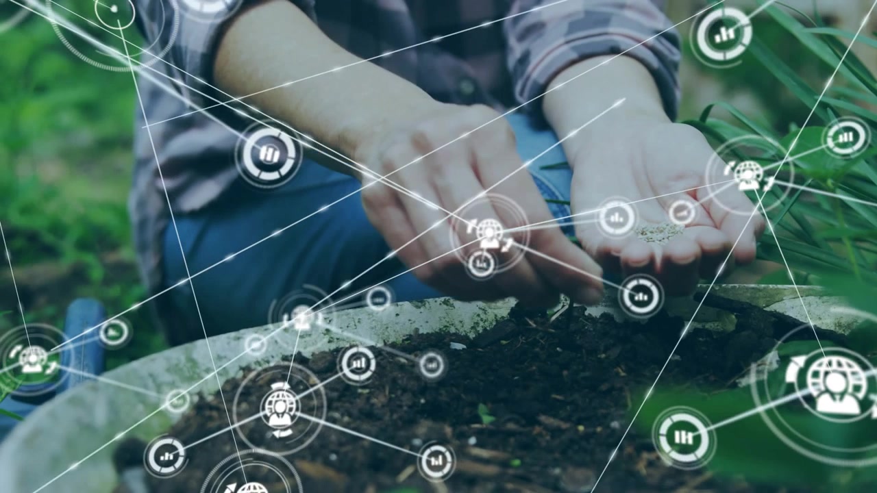 Woman kneeling dropping seeds while HUD icon popping nodes rising over hands guiding planting