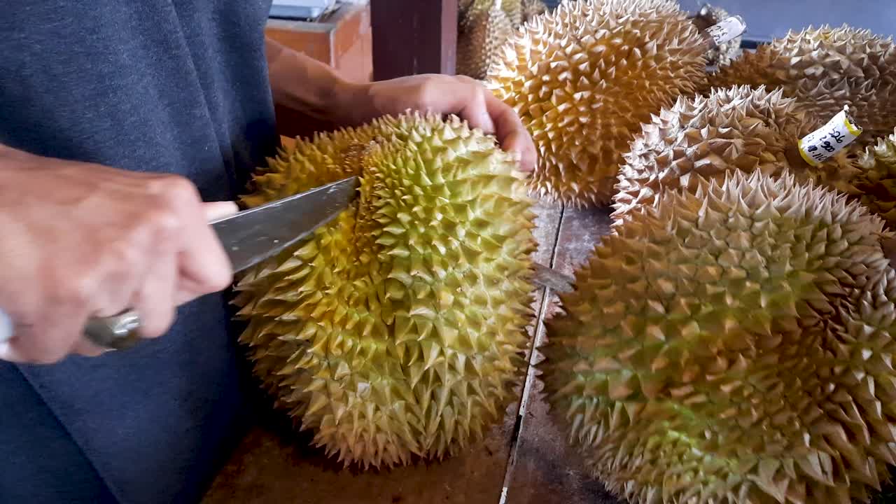Person trying to cut durian fruit in half using sharp knife, close up view